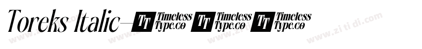 Toreks Italic字体转换